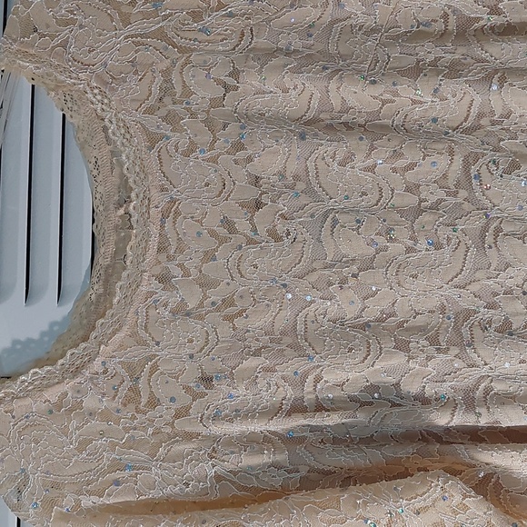 Size 1X Champagne Color Ladies Dress - Picture 3 of 8